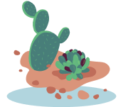 Succulents & Cactuses