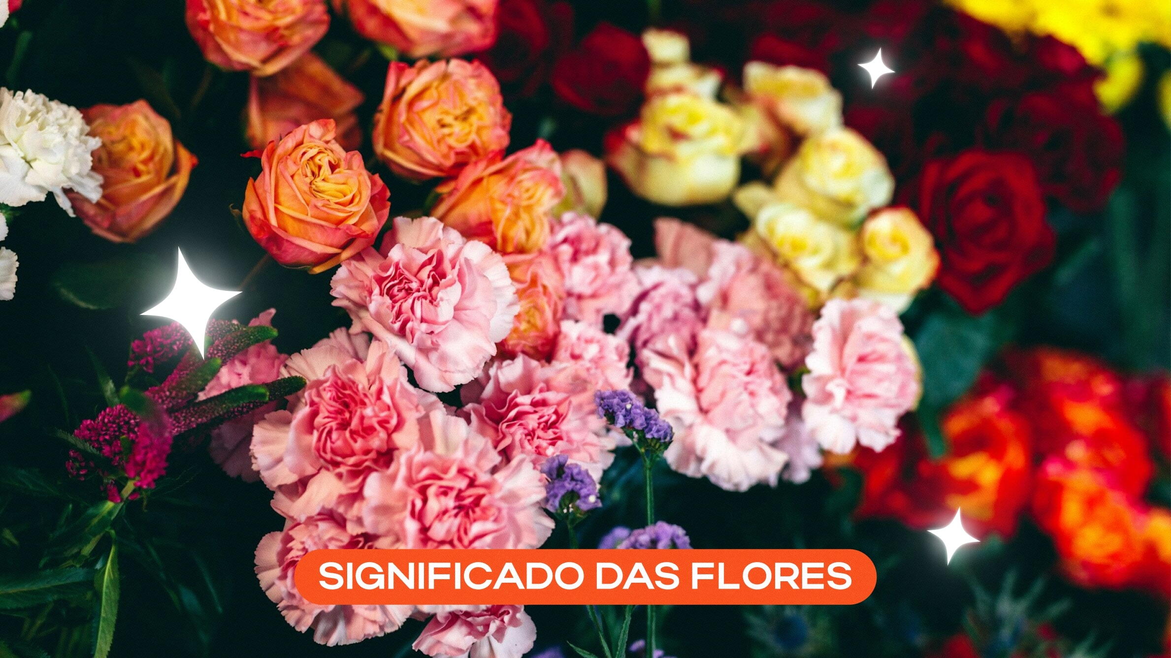 Flores e seus significados