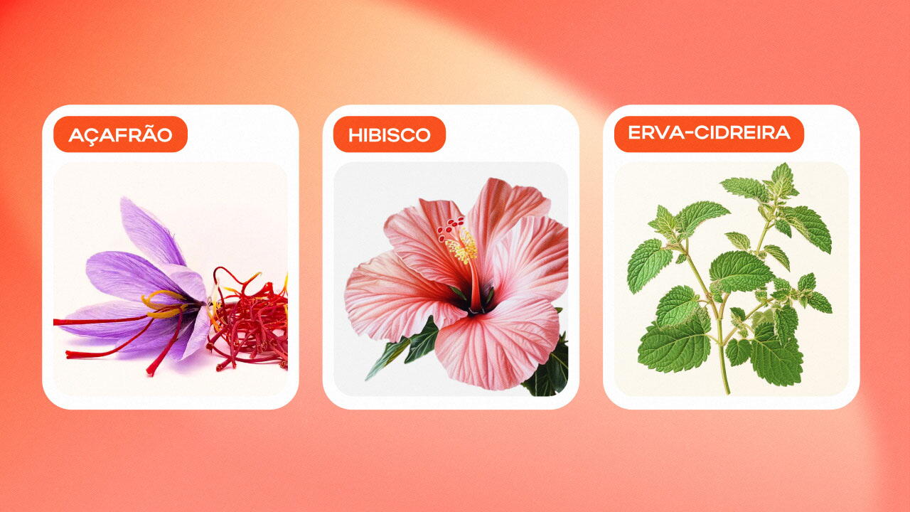 Açafrão, Hibisco, Erva-cidreira