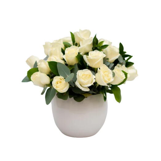 Arranjo Rosas Brancas em Vaso – Aila