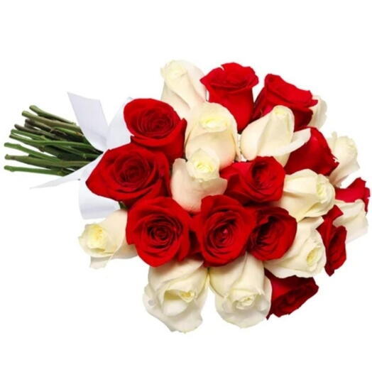 Buquê 24 Rosas de 2 Cores