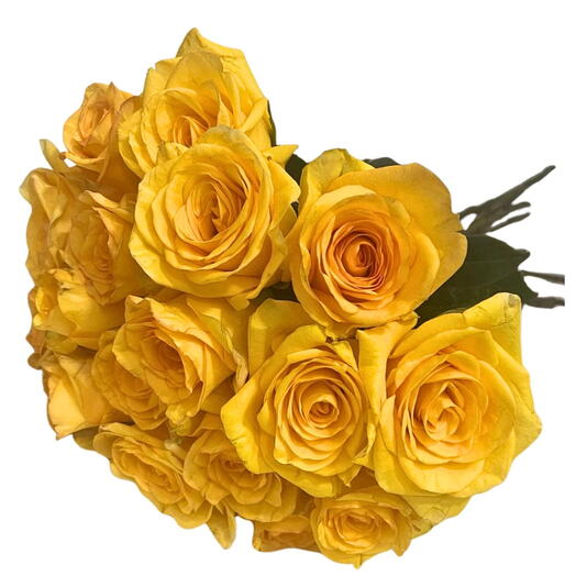 Buquê com 16 Rosas Amarelas