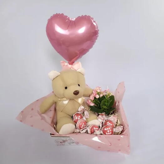 Caixa com pelucia, bombons e uma kalanchoe