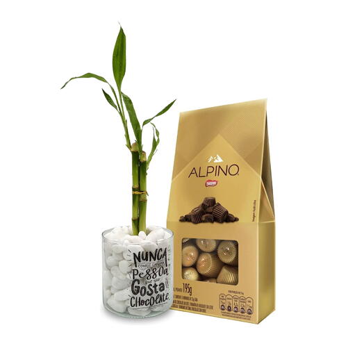 Bambu da Sorte com Vaso em Vidro + Caixa de Chocolate Alpino