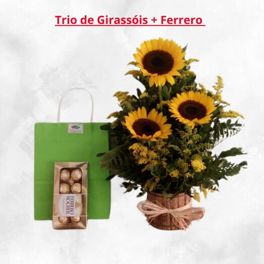 Trio de Girassois no vaso + Ferrero