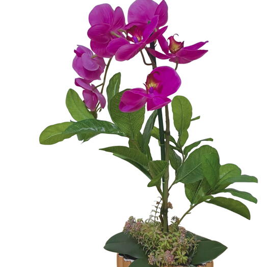 Arranjo com orquideas pink vaso cerâmica