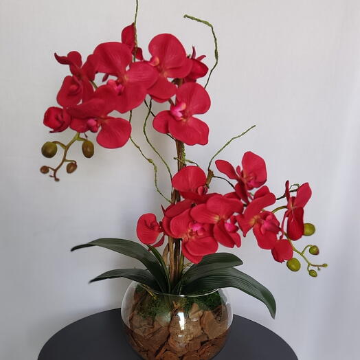 vaso de orquideas vermelhas