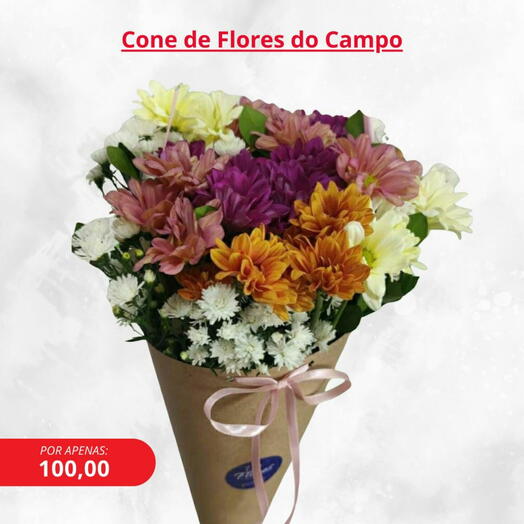 Cone de Flores do Campo