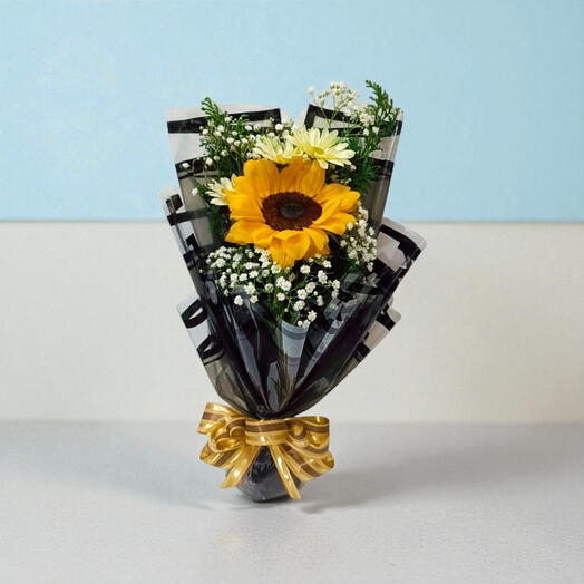 Girassol Luz do Entardecer