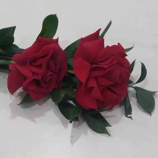 2 Rosas Colombinas