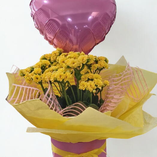 Calandiva na Caixa + Balão Coração