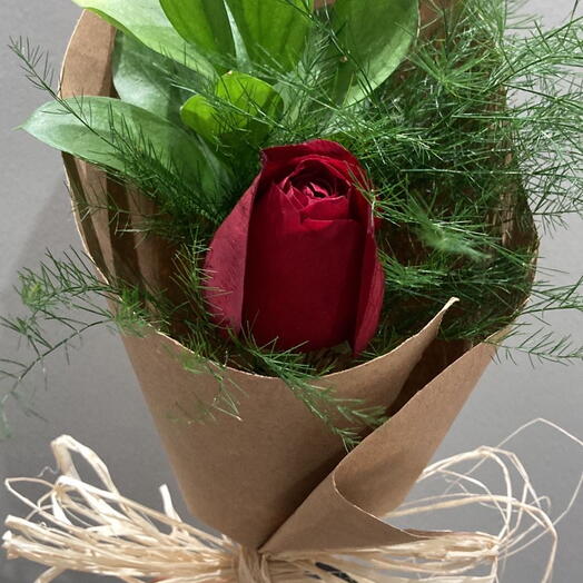 Solitario de Rosa Vermelha