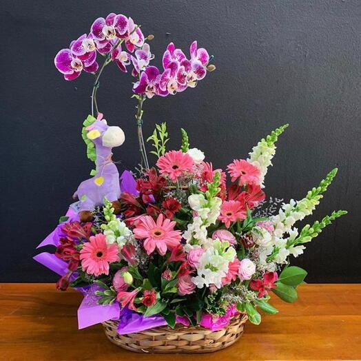 Cesta Magnifica com Orquideas Plantadas, Flores do Campo e Pelucia