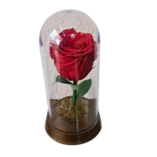 ROSA ENCANTADA VERMELHA