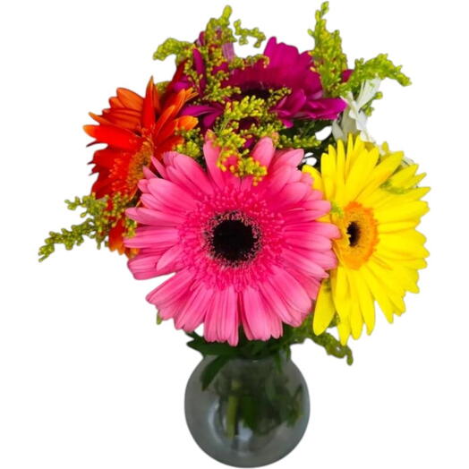 Gerberas Mix de Cores no Vaso