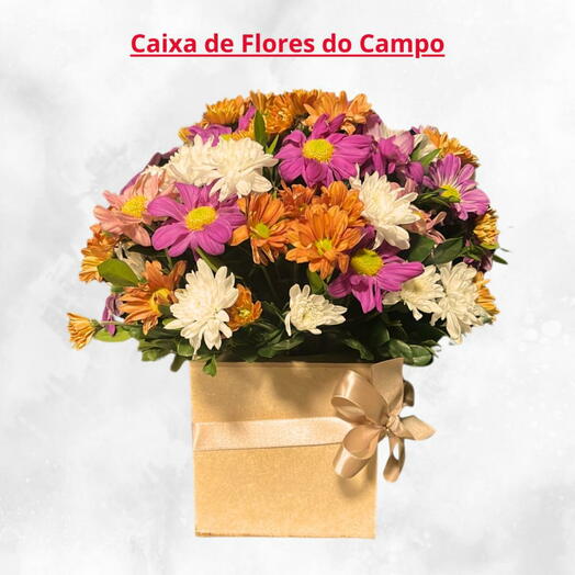 Caixa de Flores do campo