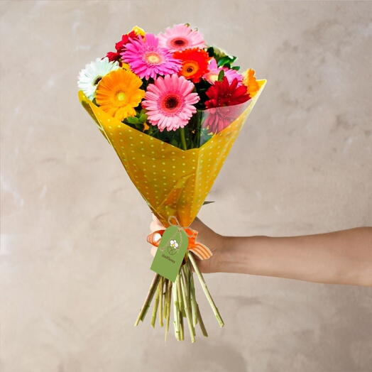 Buquê de Flores Presente das Gerberas