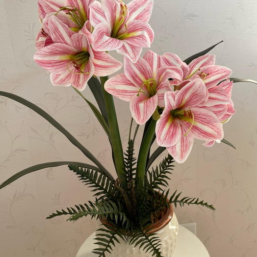 Flores que não morrem  em Vaso de cerâmica preenchido com amarilis