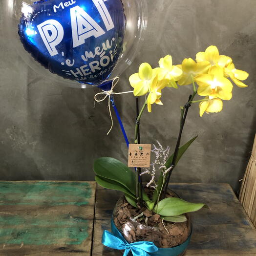 Orquidea Para o Papai
