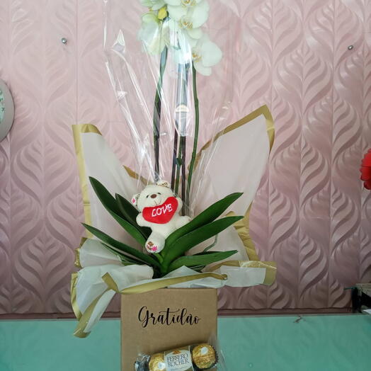 Orquidea com chocolate