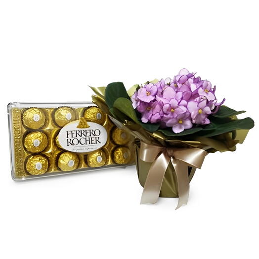 Violeta com Ferrero Rocher