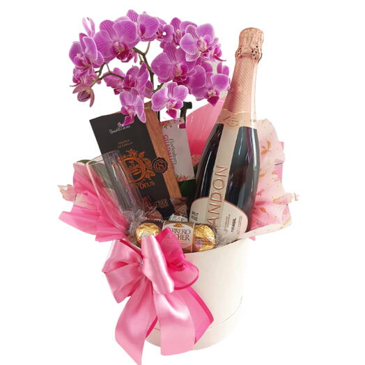 Box Chandon e Mini Orquidea