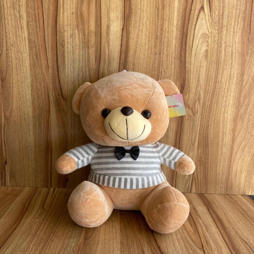 Urso Ted com roupa