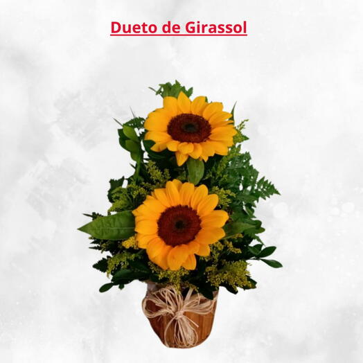 Dueto Girassol