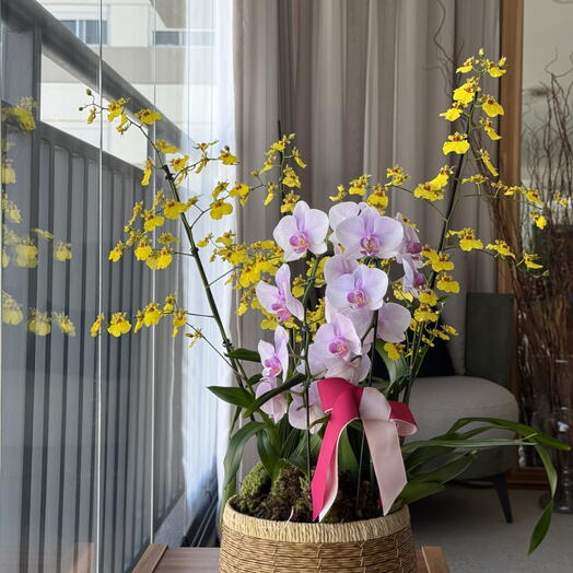 Arrranjo com Orquidea