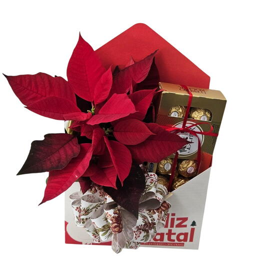 Caixa envelope feliz natal