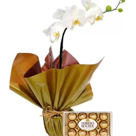 Orquidea  Branca+Ferrero Rocher