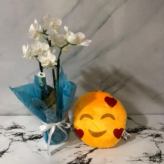 Mini Orquidea Branca com Emoji